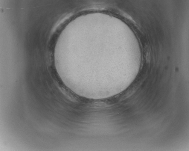 X0000079341448200612151856