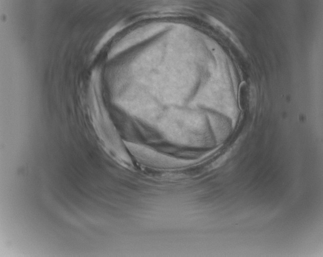 X0000079341449200612151856