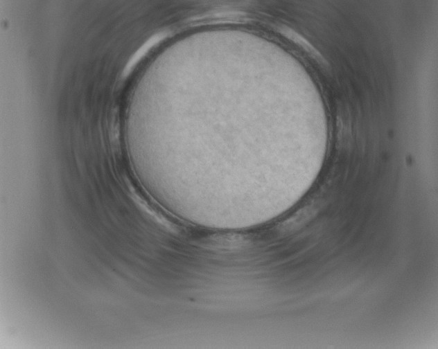 X0000079341450200612151856