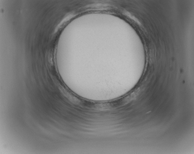 X0000079341451200612151856