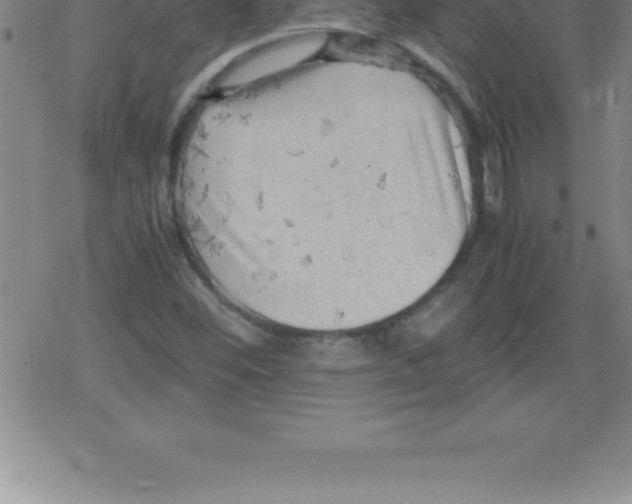 X0000079341452200612151856