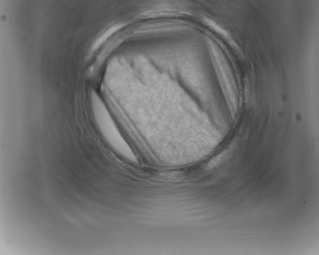 X0000079341453200612151856