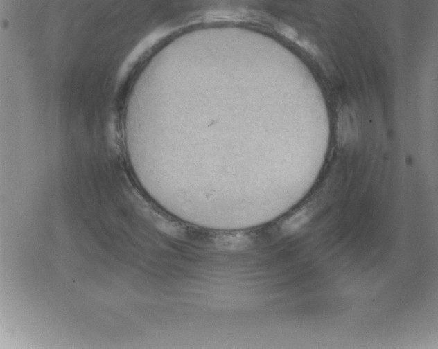 X0000079341454200612151856