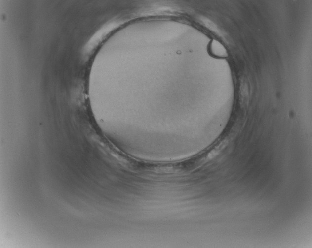 X0000079341455200612151856