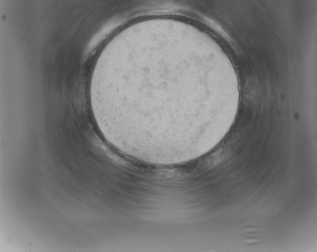 X0000079341456200612151856