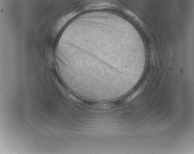 X0000079341457200612151856