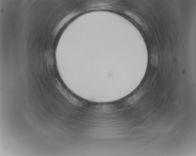 X0000079341458200612151856