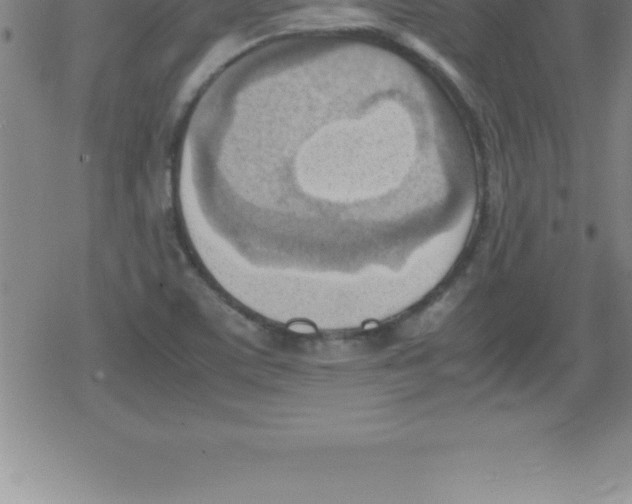 X0000079341459200612151856