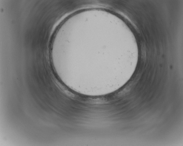 X0000079341460200612151856