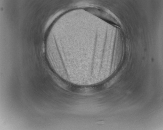 X0000079341461200612151856