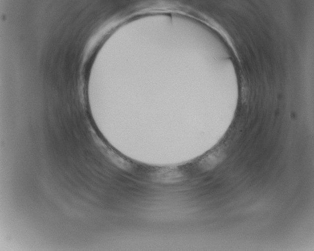 X0000079341464200612151855