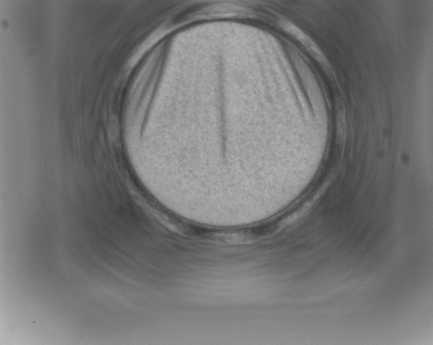 X0000079341465200612151855