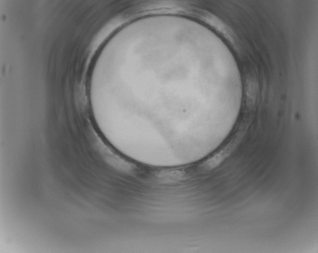 X0000079341466200612151855