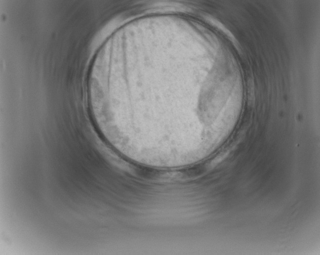 X0000079341467200612151855