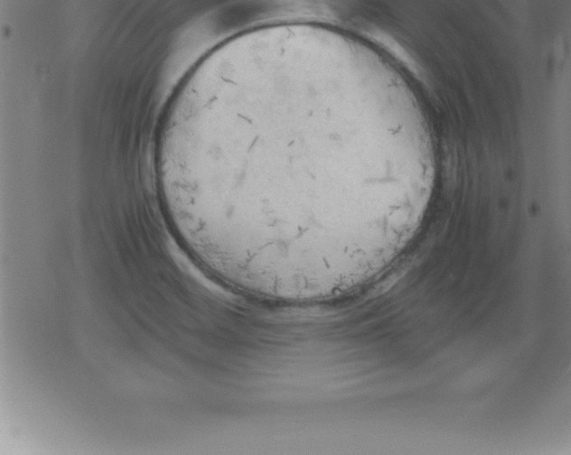 X0000079341468200612151855