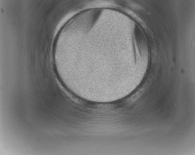 X0000079341469200612151855