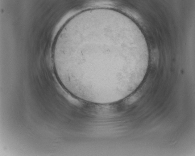 X0000079341470200612151855