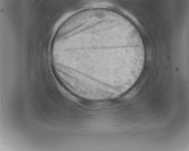 X0000079341471200612151855