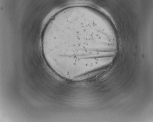 X0000079341472200612151855