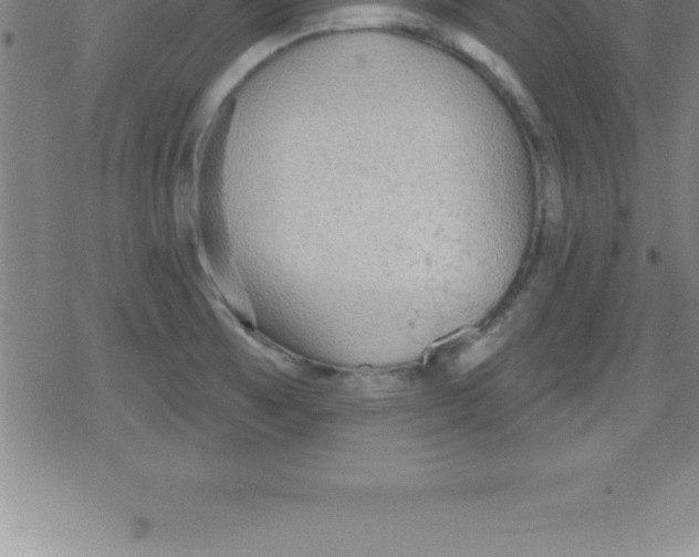 X0000079341473200612151855