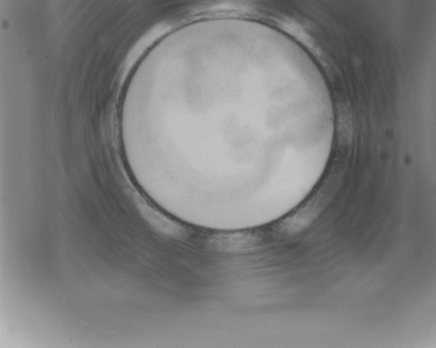 X0000079341474200612151855