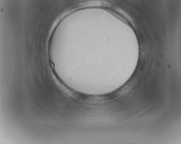 X0000079341475200612151855