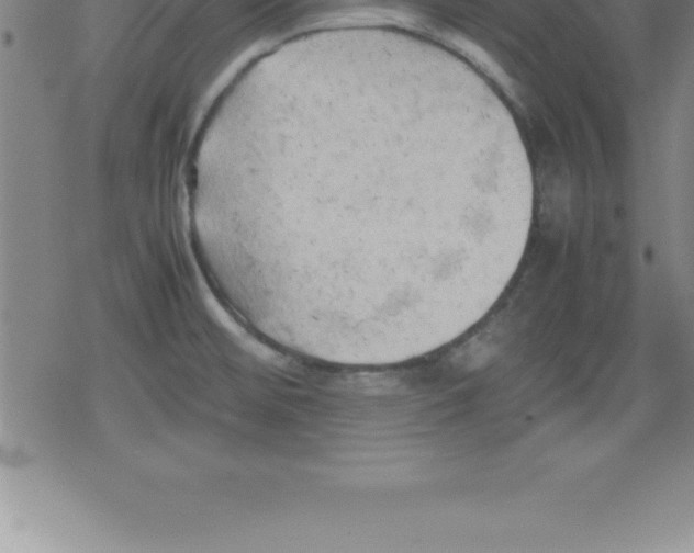 X0000079341476200612151855