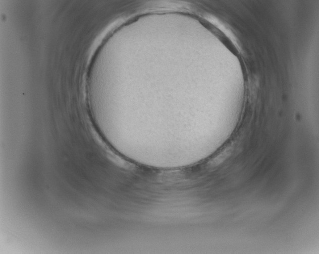 X0000079341477200612151855