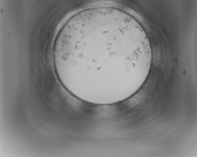 X0000079341478200612151855