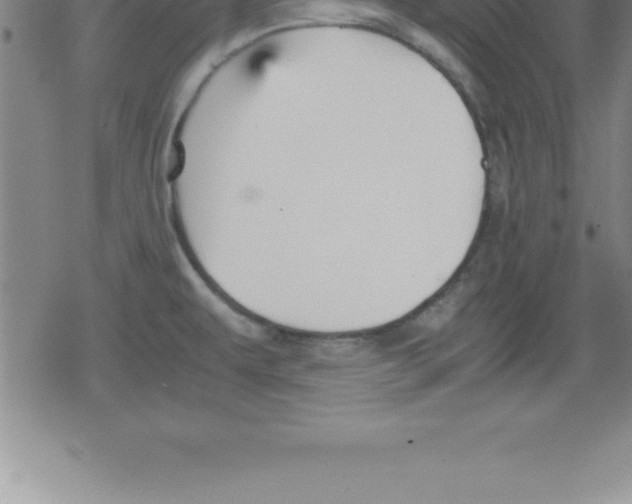 X0000079341479200612151855