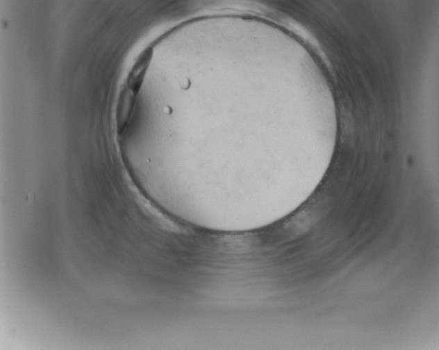 X0000079341480200612151855