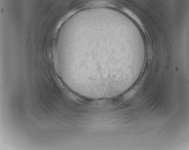 X0000079341481200612151855