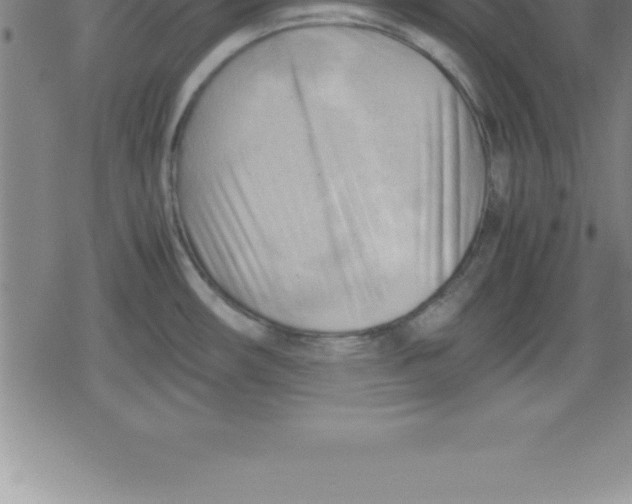 X0000079341482200612151855