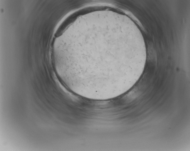 X0000079341484200612151855