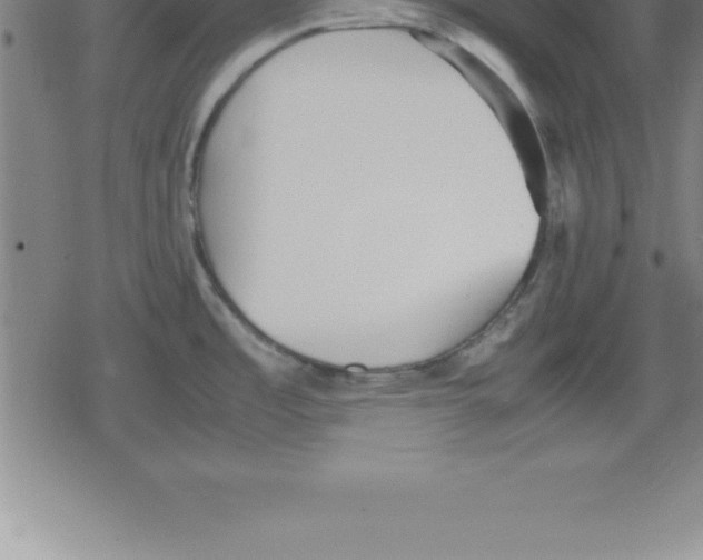 X0000079341485200612151855