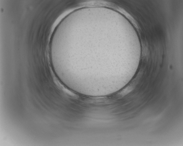 X0000079341486200612151855