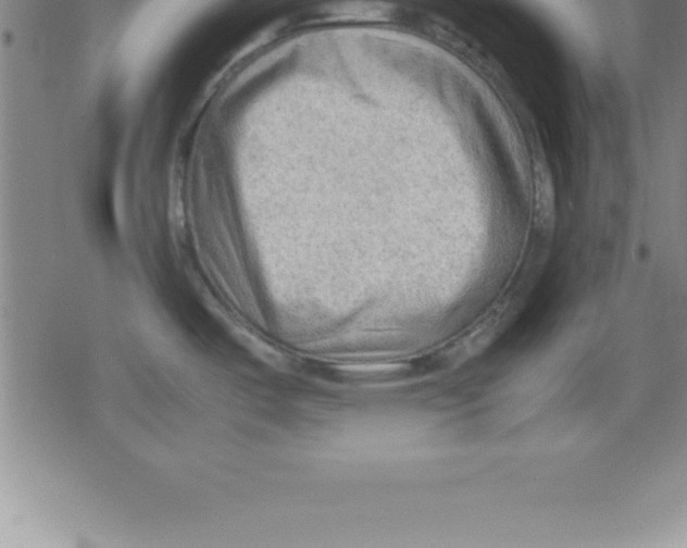 X0000079341487200612151855