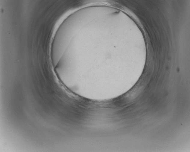 X0000079341488200612151855