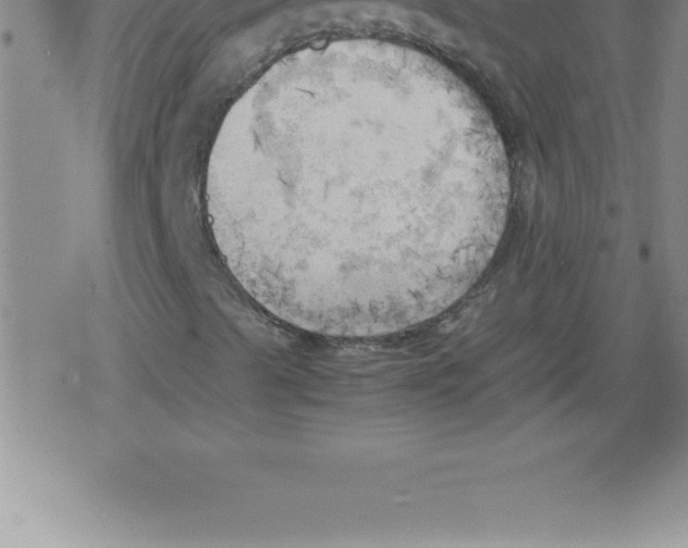 X0000079341489200612151854