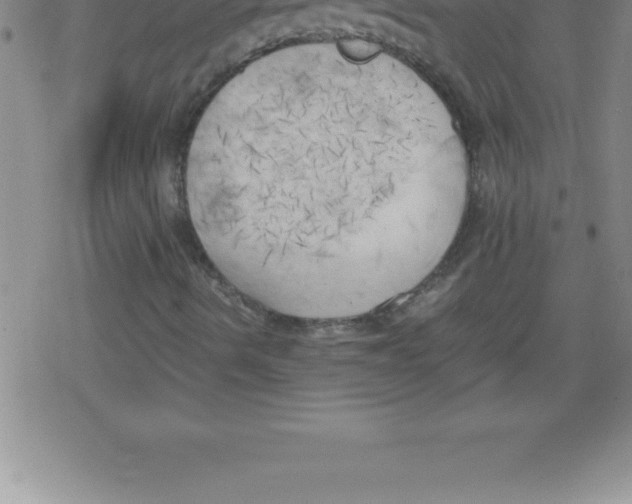 X0000079341490200612151854