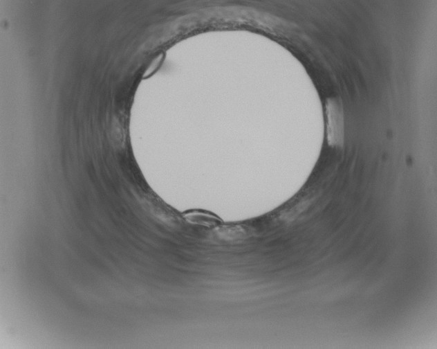 X0000079341491200612151854