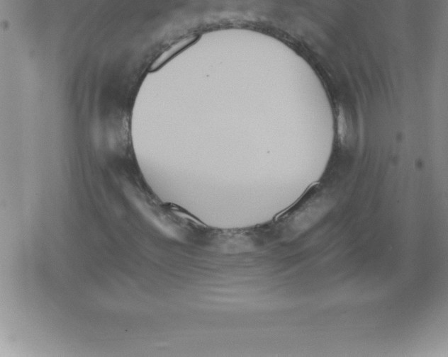 X0000079341492200612151854