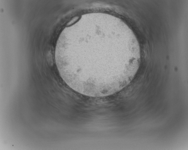 X0000079341493200612151854