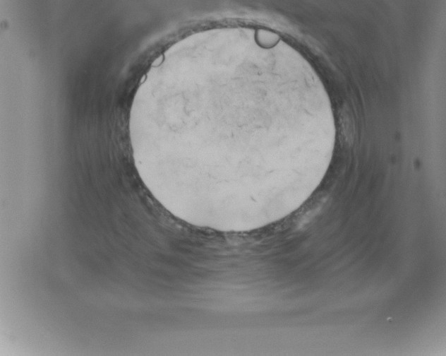 X0000079341494200612151854