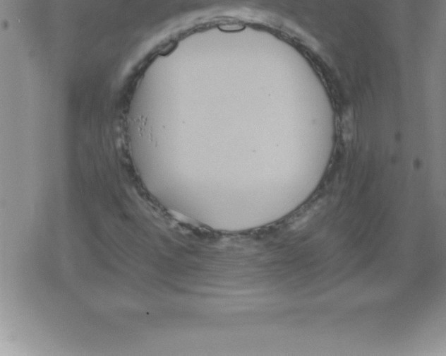 X0000079341496200612151854