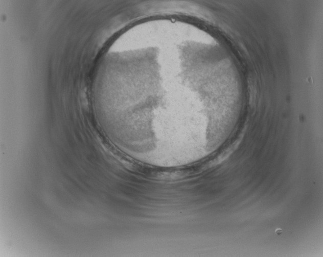 X0000079341497200612151854