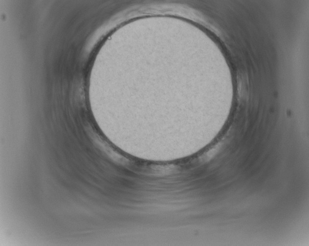 X0000079341498200612151854