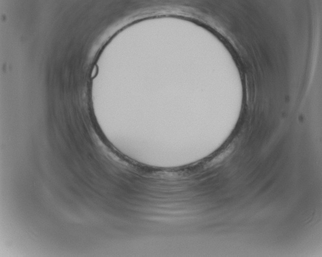 X0000079341500200612151854