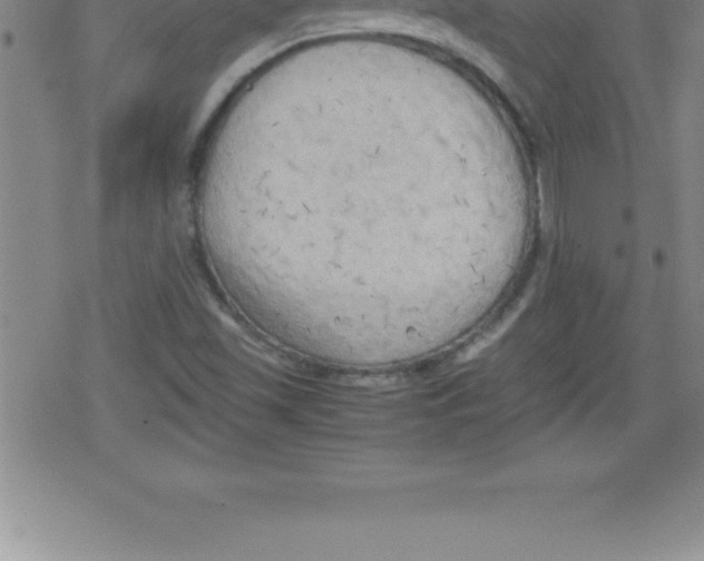 X0000079341501200612151854