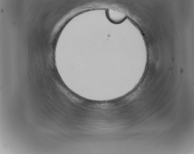 X0000079341502200612151855